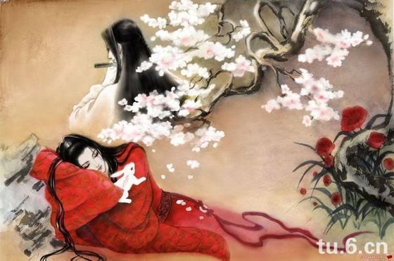 红娘是个假小受