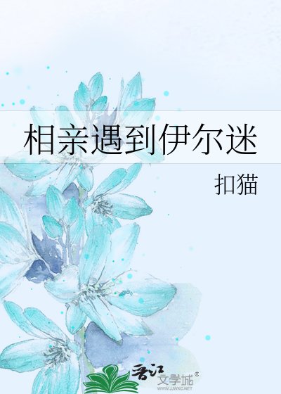 （BG-猎人同人）相亲遇到伊尔迷