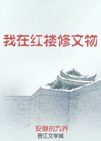 (BG/红楼同人)我在红楼修文物